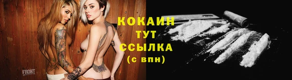 хмурый Магас