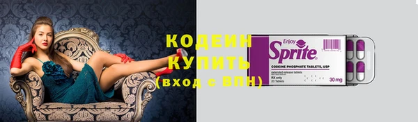 хмурый Магас