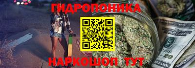 ПСИЛОЦИБИНОВЫЕ ГРИБЫ Кингисепп