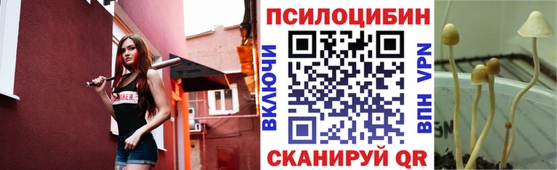 мега   Кудрово  Псилоцибиновые грибы Magic Shrooms  магазин продажи наркотиков 