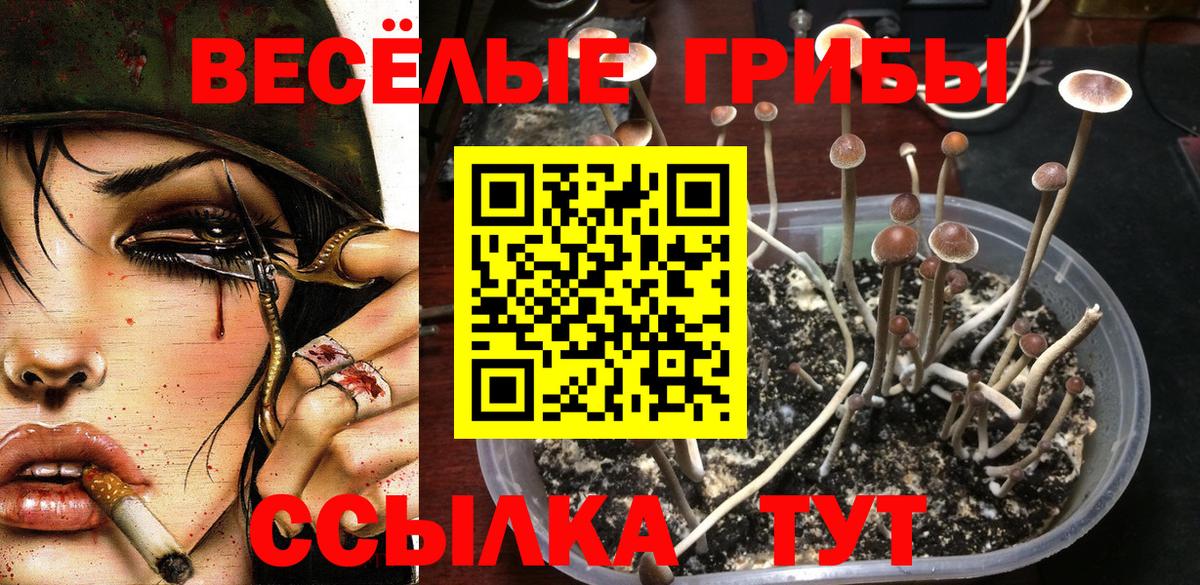Псилоцибиновые грибы Magic Shrooms Кудрово