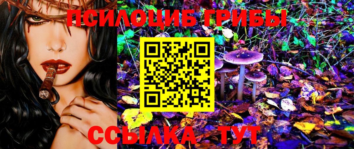 Кудрово  Псилоцибиновые грибы Magic Shrooms  Вход с VPN  Псилоцибиновые грибы Psilocybe 